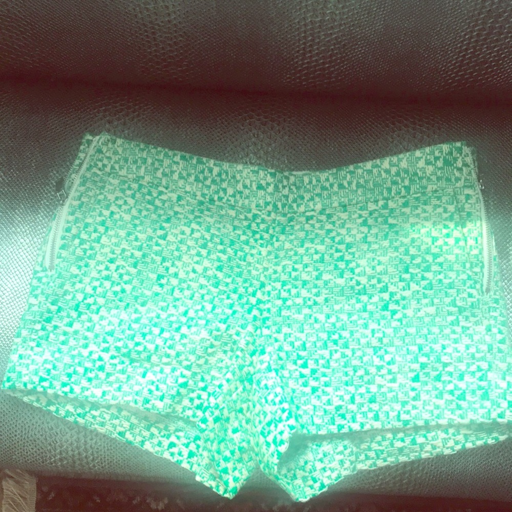 One of a kind Jcrew sample shorts